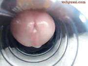 jeffrodgerschaturbat Cum show inside an artificial vagina